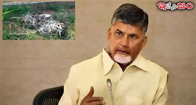 ఏపీ సీఎం చంద్రబాబు నాయుడు ఇంటి వద్ద కలకలం   